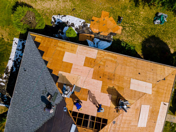 Best New Roof Installation  in Donald, OR
